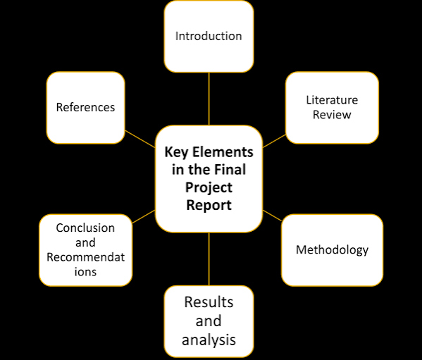 Final Year Project Report